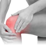 knee muscle and joint pain