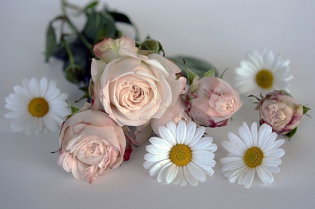 Celebrate Mother's Day