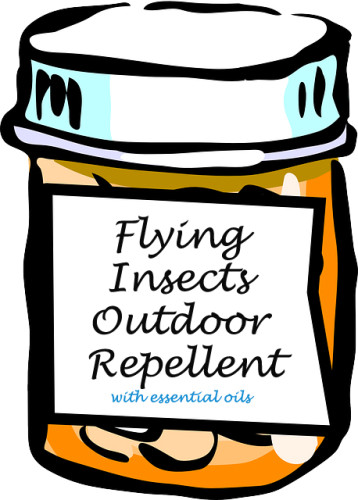 handmade flying insect repellent in a jar copy