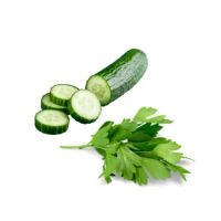 Cucumber Cilantro Fragrance Oil*