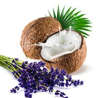 Coconut Milk Lavender Fragrance Oil