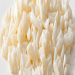 Certified Segregated Sustainable Palm Oil 5 Gal