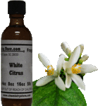 White Citrus BBW Type