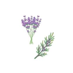 Lavender Cedarwood Fragrance Oil*