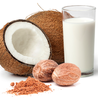 Spiced Coconut Milk BBW Type Fragrance Oil *