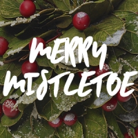 Merry Mistletoe Fragrance Oil *