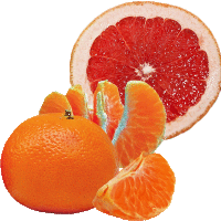 Tangerine Grapefruit Fragrance Oil *