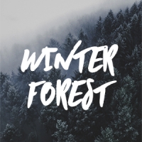 Winter Forest Fragrance Oil *