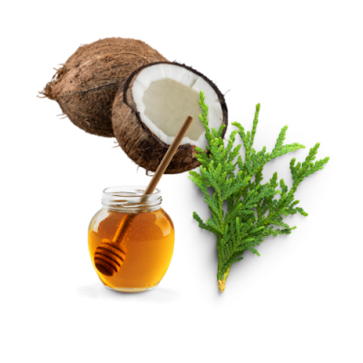 Coconut Honey & Cedar Fragrance Oil*
