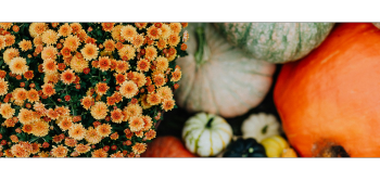 september_25_banner__350_x_166_px_.png