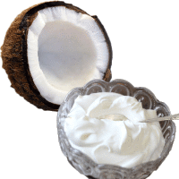 Coconut Cream Fragrance Oil