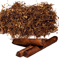 Cuban Tobacco Fragrance Oil*