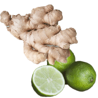 Fresh Ginger Lime Fragrance Oil