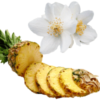 Pineapple & Jasmine Fragrance Oil*