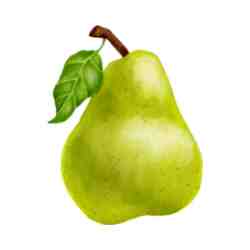 Pear Fantasy Fragrance Oil*