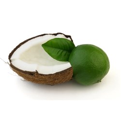 Coconut Lime Verbena Fragrance Oil