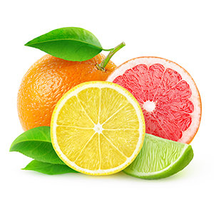 Grapefruit Citrus II Fragrance Oil * 