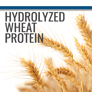Hydrolized Wheat Protein